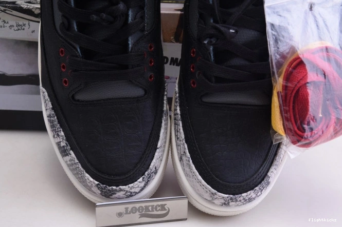 Animal Air CV3583-003 Retro Instinct Jordan 2.0 SE 3 - 0922